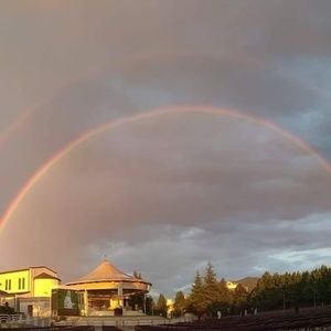 Meet your Posher, Kat